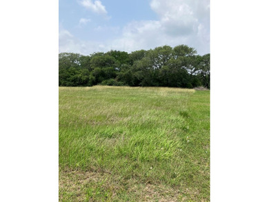 Beach Lot For Sale in Blessing, Texas