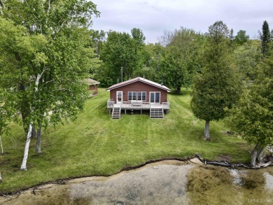 Beach Condo For Sale in Mcmillan, Michigan