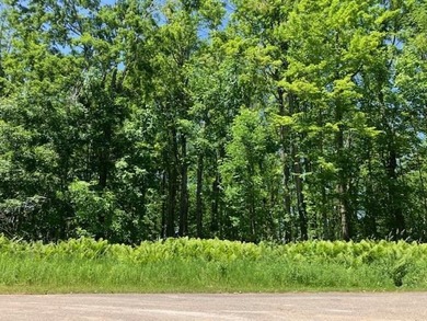 Beach Lot For Sale in Alanson, Michigan
