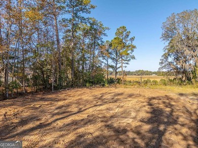 Beach Lot For Sale in Townsend, Georgia