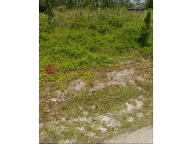 Beach Lot For Sale in Lehigh Acres, Florida