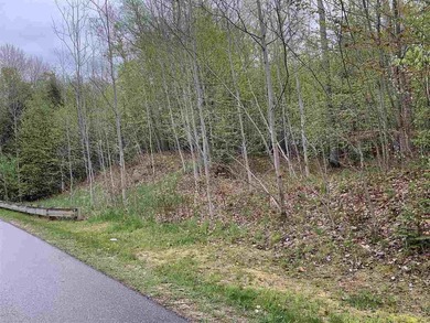 Beach Lot For Sale in Petoskey, Michigan