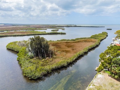 Beach Acreage For Sale in Spring Hill, Florida