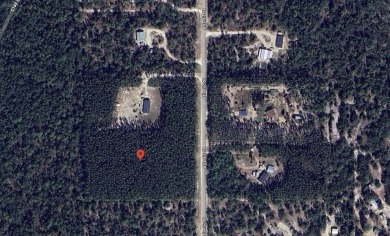 Beach Acreage For Sale in Perry, Florida