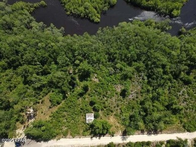 Beach Acreage For Sale in Wewahitchka, Florida