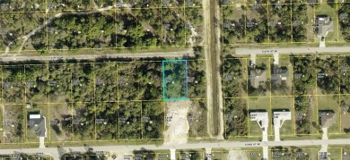 Beach Lot For Sale in Lehigh Acres, Florida