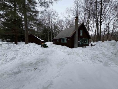 Beach Home For Sale in Carp Lake, Michigan