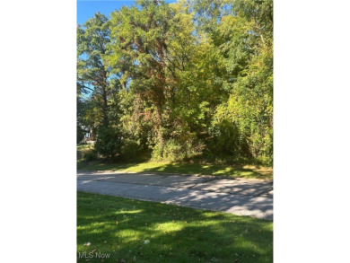 Beach Acreage For Sale in Willoughby, Ohio