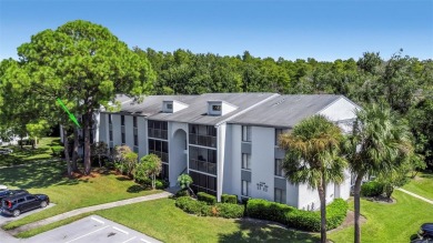 Beach Condo For Sale in Tarpon Springs, Florida