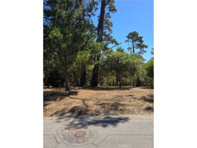 Beach Lot For Sale in Cambria, California