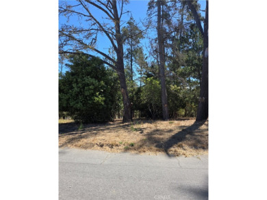 Beach Lot For Sale in Cambria, California