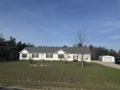 Beach Home For Sale in Alanson, Michigan