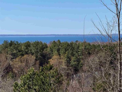 Beach Lot For Sale in Eastport, Michigan