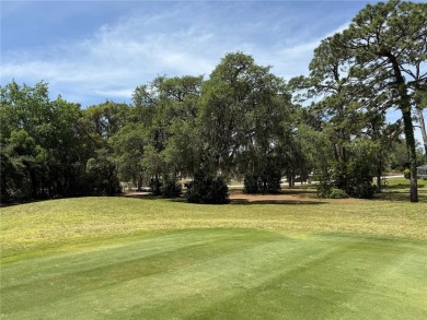 Beach Lot Sale Pending in Spring Hill, Florida