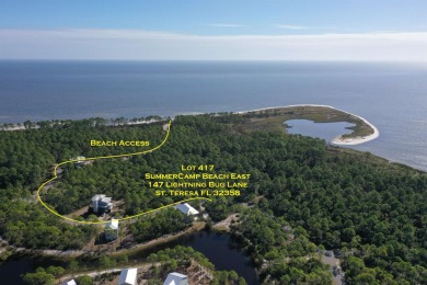 Beach Lot For Sale in Sopchoppy, Florida