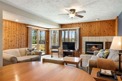 Beach Condo For Sale in Harbor Springs, Michigan