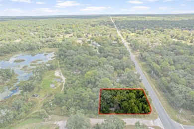 Beach Lot Sale Pending in Homosassa, Florida
