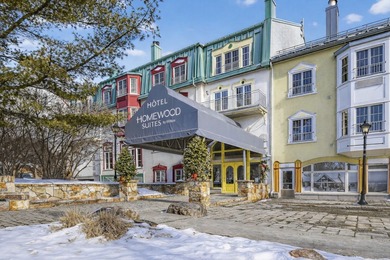 Beach Condo For Sale in Mont-Tremblant, 