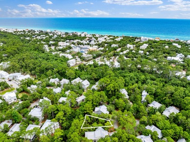 Beach Lot For Sale in Santa Rosa Beach, Florida