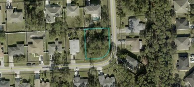 Beach Lot For Sale in Palm Coast, Florida
