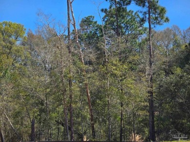 Beach Acreage Sale Pending in Bagdad, Florida