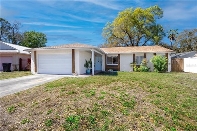 Beach Home For Sale in Tampa, Florida