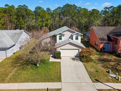Beach Home Sale Pending in Oldsmar, Florida