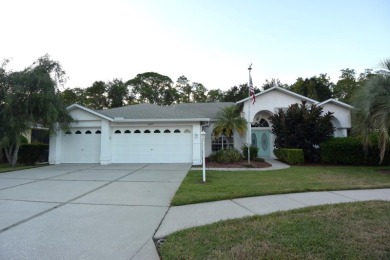 Beach Home Sale Pending in Trinity, Florida