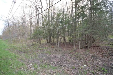 Beach Lot For Sale in Harbor Springs, Michigan
