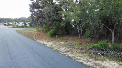 Beach Lot For Sale in Spring Hill, Florida