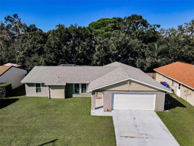 Beach Home For Sale in Oldsmar, Florida