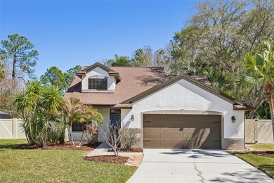 Beach Home For Sale in Palm Harbor, Florida