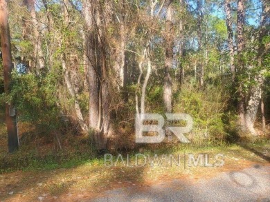 Beach Lot For Sale in Dauphin Island, Alabama