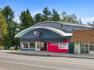 Beach Commercial For Sale in Alanson, Michigan