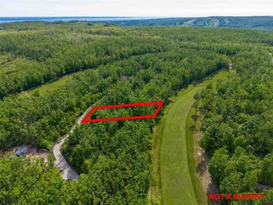Beach Lot For Sale in Harbor Springs, Michigan