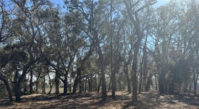 Beach Lot For Sale in Spring Hill, Florida