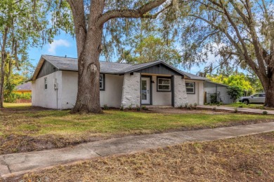 Beach Home For Sale in Tampa, Florida