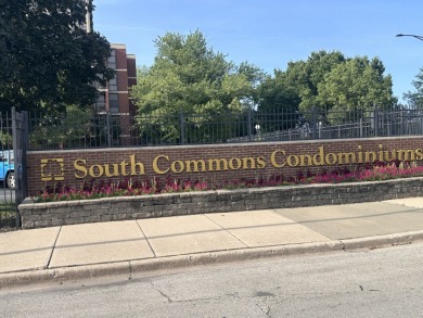 Beach Condo For Sale in Chicago, Illinois