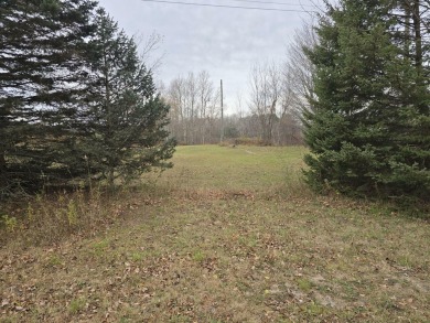 Beach Acreage For Sale in Mears, Michigan