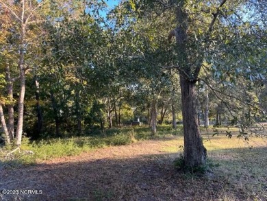 Beach Lot For Sale in Supply, North Carolina