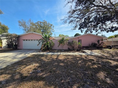 Beach Home For Sale in Tampa, Florida