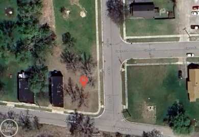 Beach Lot For Sale in Port Huron, Michigan