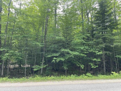 Beach Acreage For Sale in Manistique, Michigan