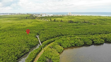 Beach Lot For Sale in Fort Pierce, Florida