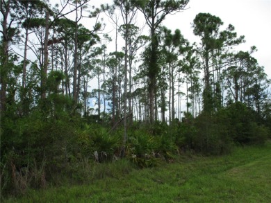 Beach Lot For Sale in Port Charlotte, Florida