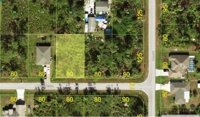 Beach Lot For Sale in Port Charlotte, Florida