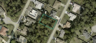 Beach Lot For Sale in Palm Coast, Florida