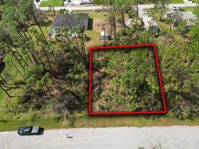 Beach Lot For Sale in North Port, Florida