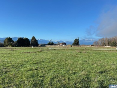 Beach Lot For Sale in Sequim, Washington
