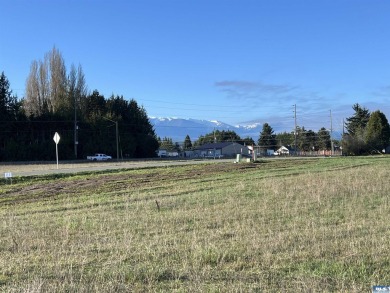 Beach Lot For Sale in Sequim, Washington